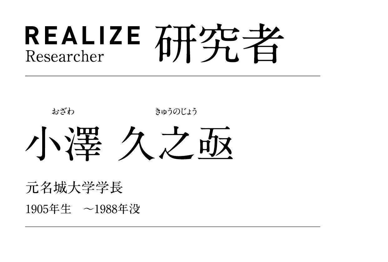 REALIZE Researcher